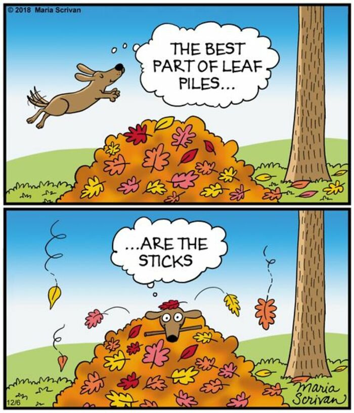 If You Have A Dog, These 42 Comics By Maria Scrivan Might Feel Surprisingly Familiar