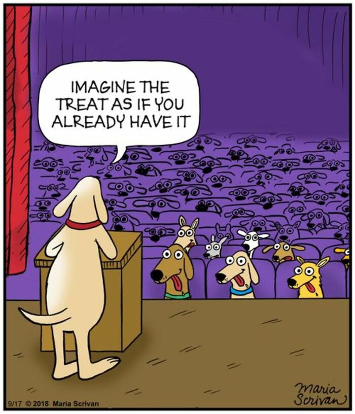 If You Have A Dog, These 42 Comics By Maria Scrivan Might Feel Surprisingly Familiar