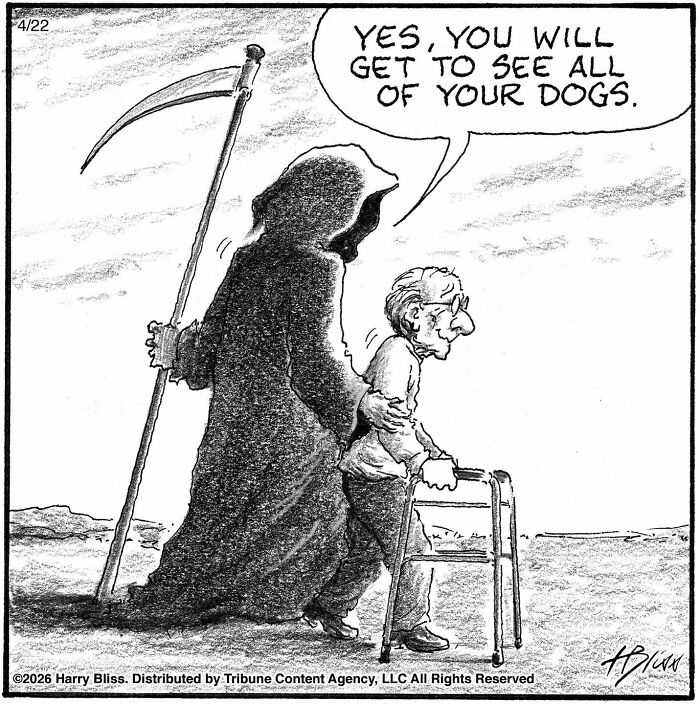 This New Yorker Magazine Cartoonist Creates Clever One-Panel Comics (40 New Pics)