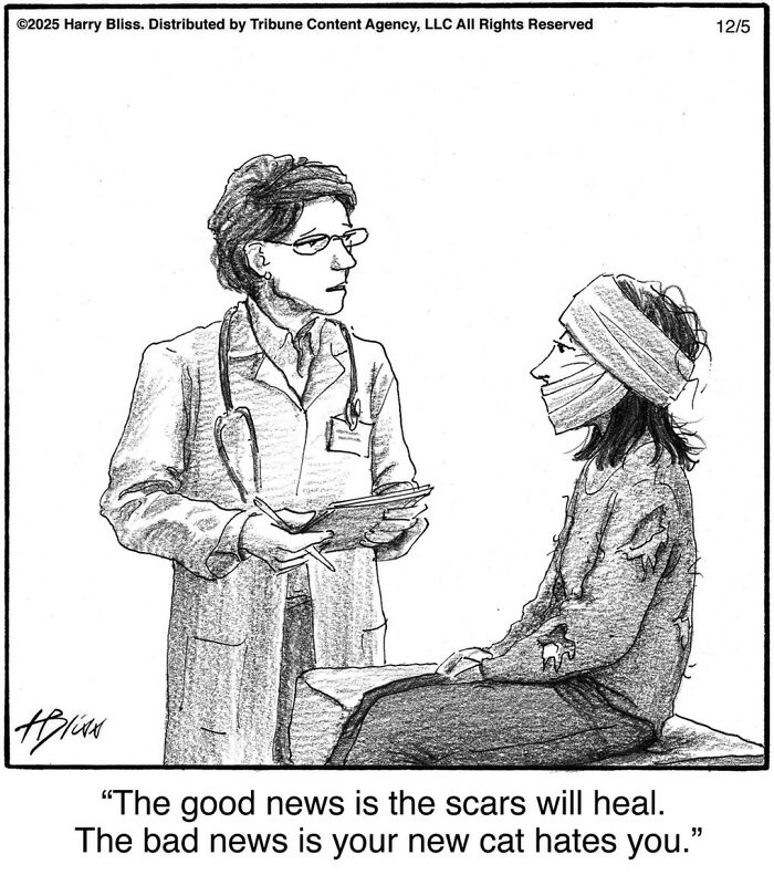 This New Yorker Magazine Cartoonist Creates Clever One-Panel Comics (40 New Pics)