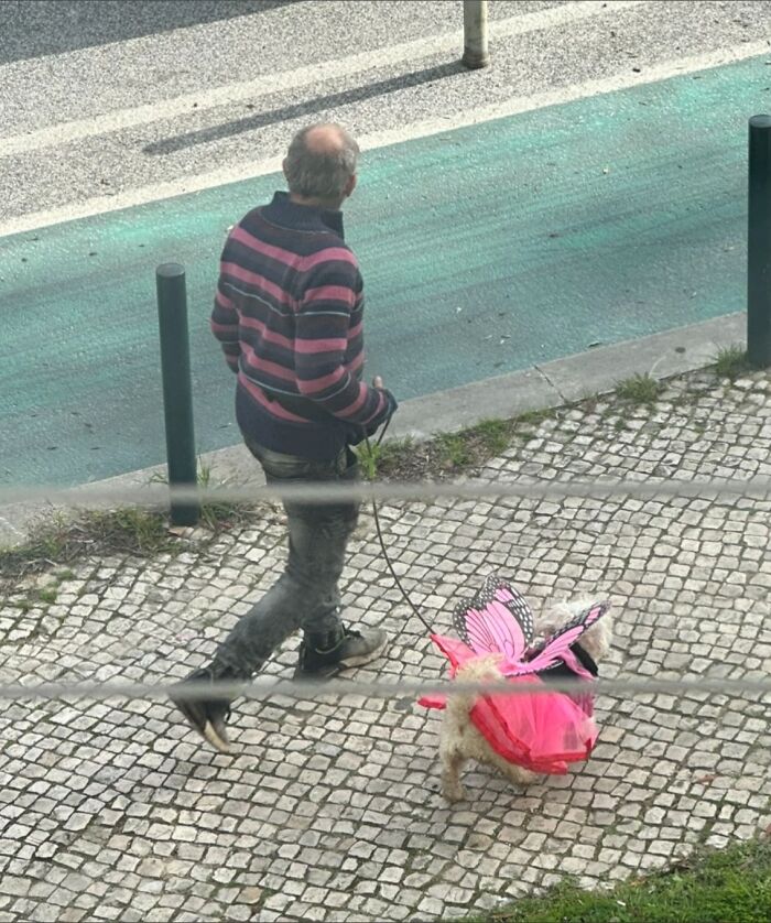 37 Images So Bizarre They Raised More Questions Than The Internet Can Handle