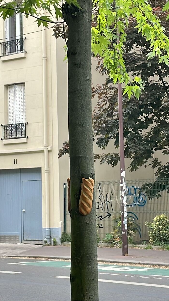 37 Images So Bizarre They Raised More Questions Than The Internet Can Handle