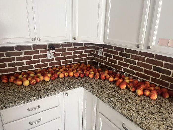 37 Images So Bizarre They Raised More Questions Than The Internet Can Handle