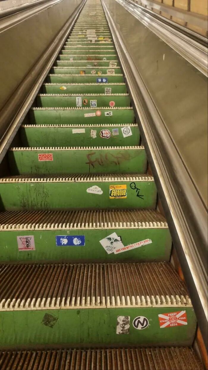 37 Images So Bizarre They Raised More Questions Than The Internet Can Handle