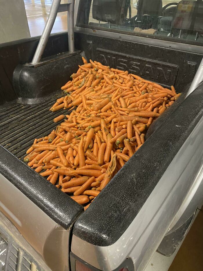 37 Images So Bizarre They Raised More Questions Than The Internet Can Handle