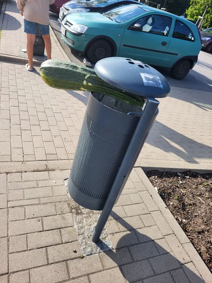 37 Images So Bizarre They Raised More Questions Than The Internet Can Handle