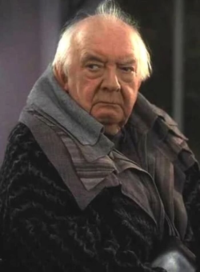 A Bit Of Magic For Potterheads As We Recall 25 Harry Potter Actors Who Passed “Beyond The Veil”