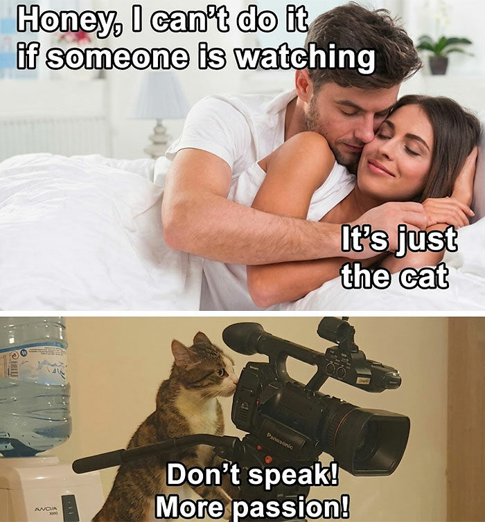 61 “Blursed” Memes To Make You Laugh, Then Wonder What’s Wrong With You 61 “Blursed” Memes To Make You Laugh, Then Wonder What’s Wrong With You