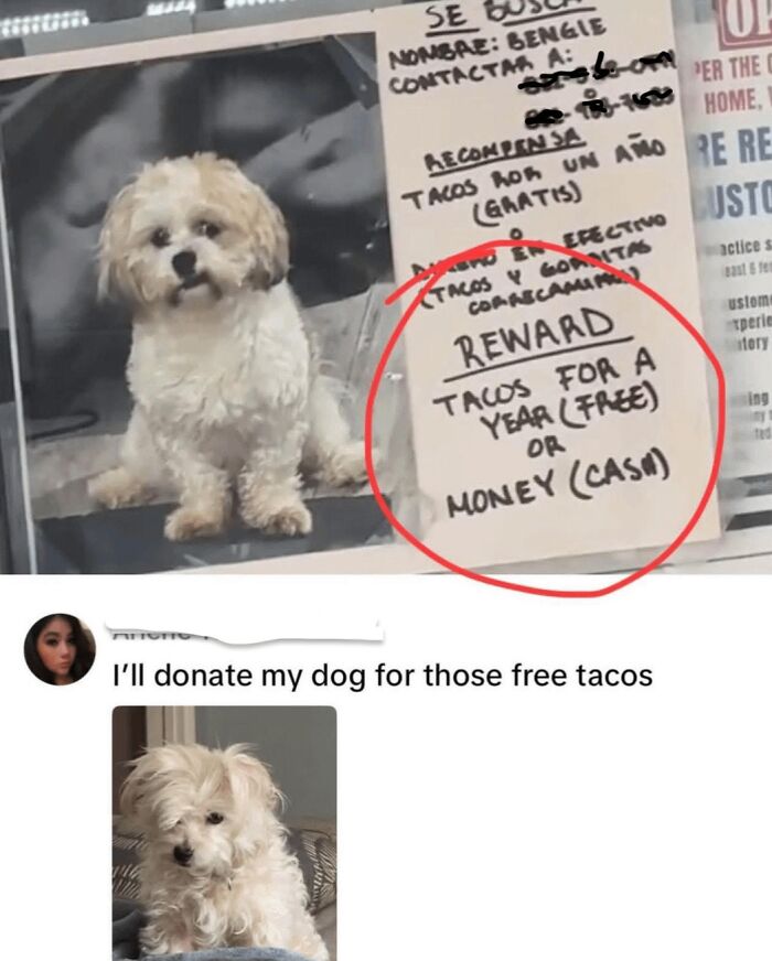 61 “Blursed” Memes To Make You Laugh, Then Wonder What’s Wrong With You 61 “Blursed” Memes To Make You Laugh, Then Wonder What’s Wrong With You