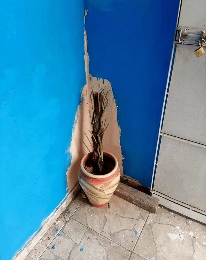 93 Ridiculous “You Had One Job” Fails That Prove Common Sense Isn’t All That Common 93 Ridiculous “You Had One Job” Fails That Prove Common Sense Isn’t All That Common