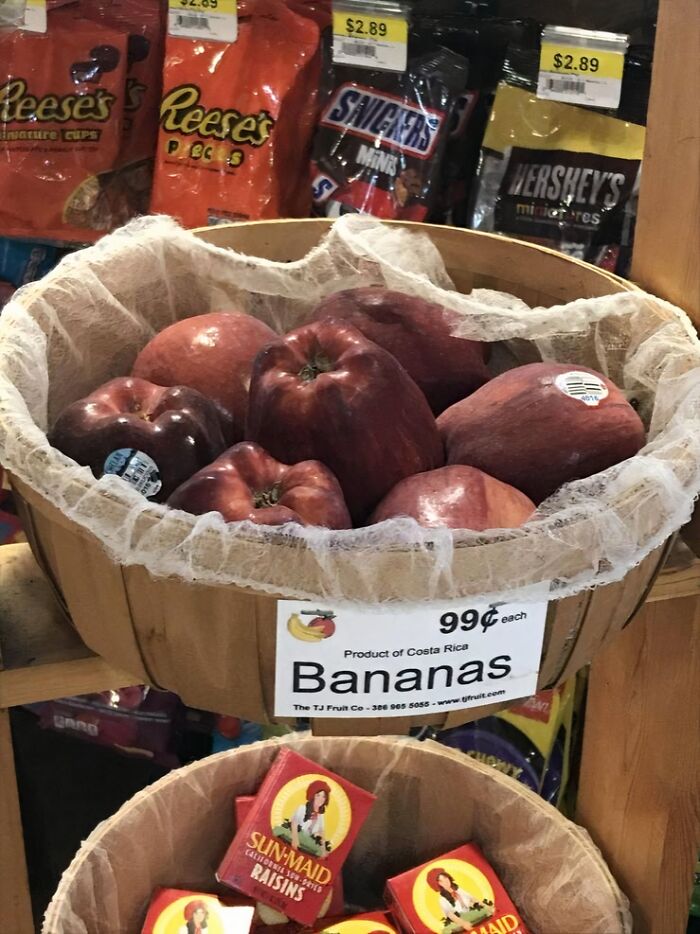93 Ridiculous “You Had One Job” Fails That Prove Common Sense Isn’t All That Common 93 Ridiculous “You Had One Job” Fails That Prove Common Sense Isn’t All That Common