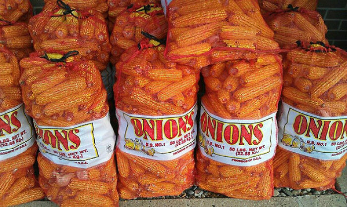 93 Ridiculous “You Had One Job” Fails That Prove Common Sense Isn’t All That Common 93 Ridiculous “You Had One Job” Fails That Prove Common Sense Isn’t All That Common