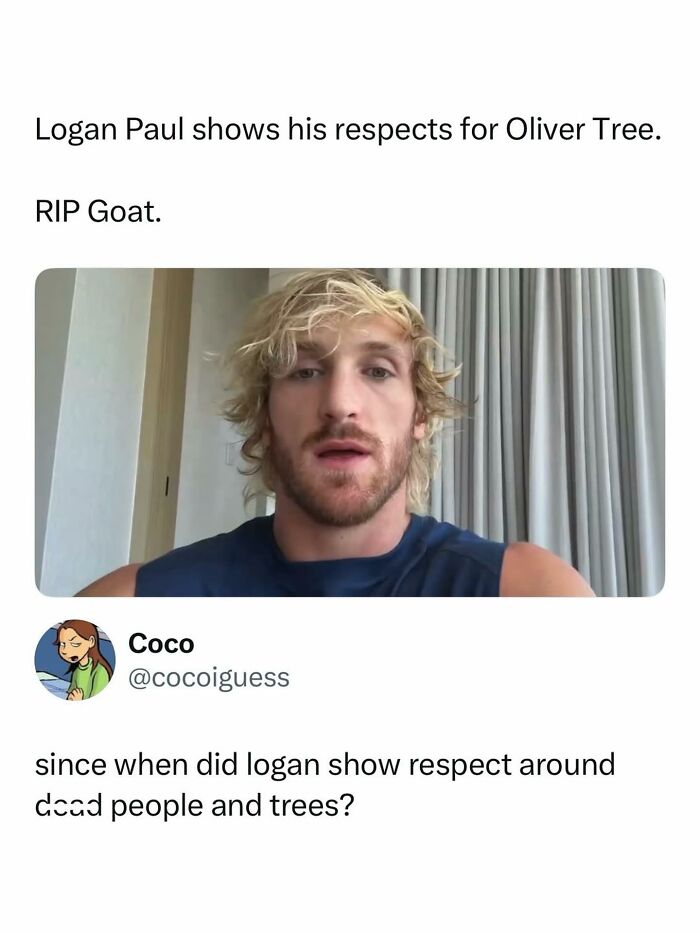 70 Of The Best Pop Culture Posts You Can Pass Around For Instant Good Vibes 70 Of The Best Pop Culture Posts You Can Pass Around For Instant Good Vibes
