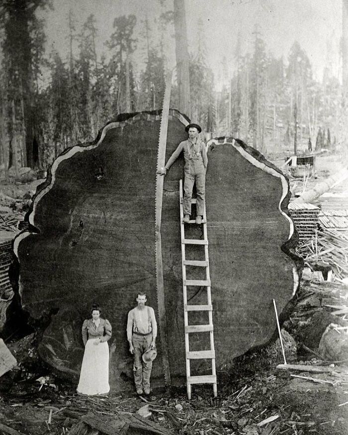 89 Rare And Interesting Historical Photos You Might Not Have Seen Before 89 Rare And Interesting Historical Photos You Might Not Have Seen Before