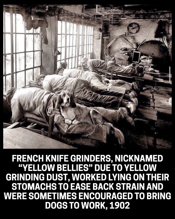 89 Rare And Interesting Historical Photos You Might Not Have Seen Before 89 Rare And Interesting Historical Photos You Might Not Have Seen Before