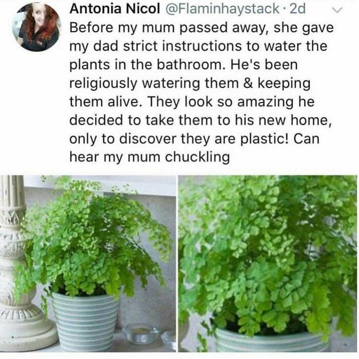 If You Have Had A Rough Month, These 62 Posts Might Be Soul-Healing