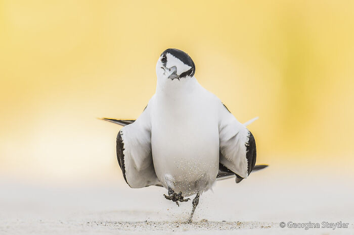 70 Breathtaking Photos Shortlisted For Australian Geographic Nature Photographer Of The Year