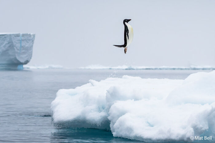 70 Breathtaking Photos Shortlisted For Australian Geographic Nature Photographer Of The Year