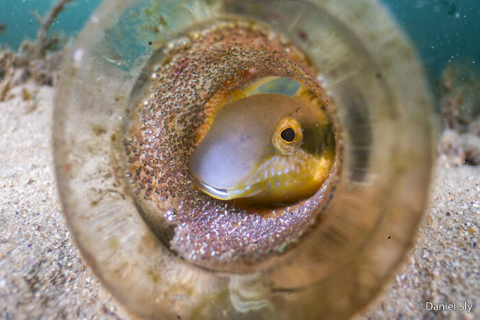 70 Breathtaking Photos Shortlisted For Australian Geographic Nature Photographer Of The Year