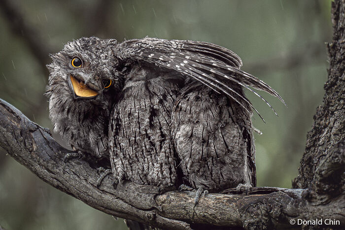 70 Breathtaking Photos Shortlisted For Australian Geographic Nature Photographer Of The Year