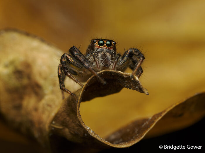 70 Breathtaking Photos Shortlisted For Australian Geographic Nature Photographer Of The Year