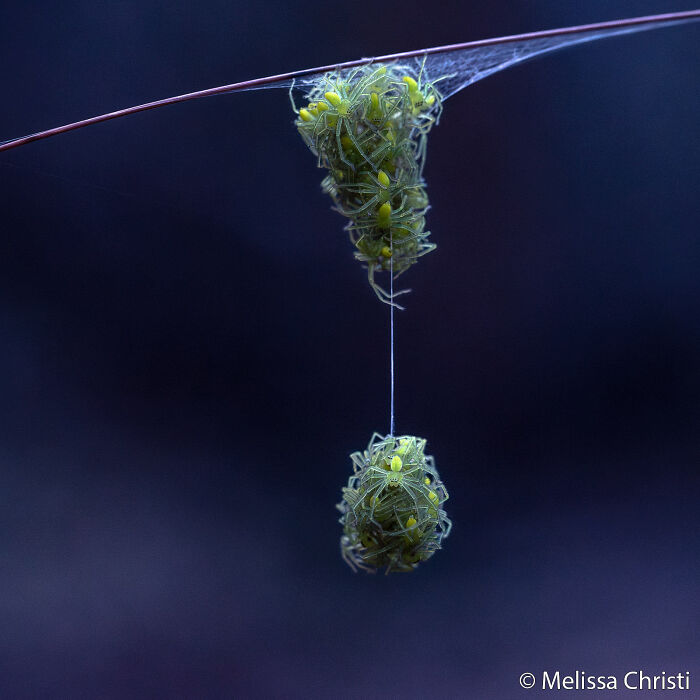 70 Breathtaking Photos Shortlisted For Australian Geographic Nature Photographer Of The Year