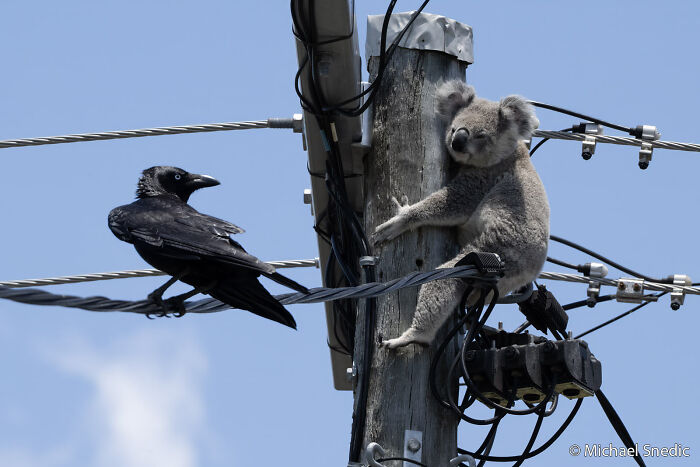 70 Breathtaking Photos Shortlisted For Australian Geographic Nature Photographer Of The Year