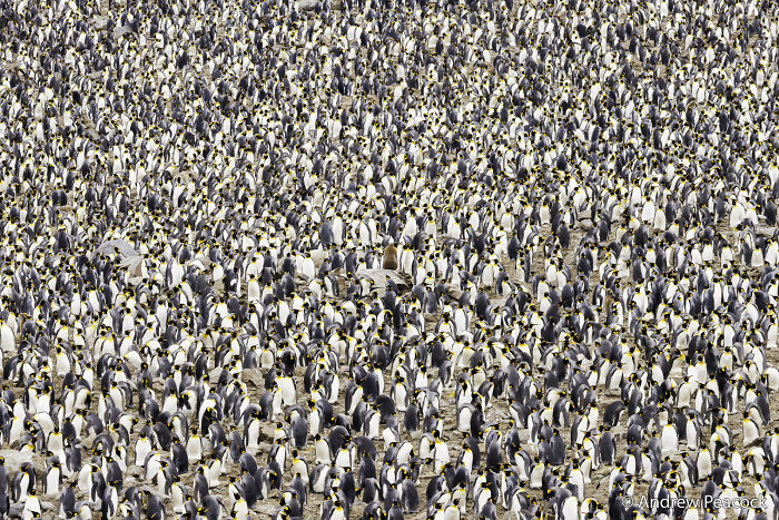 70 Breathtaking Photos Shortlisted For Australian Geographic Nature Photographer Of The Year