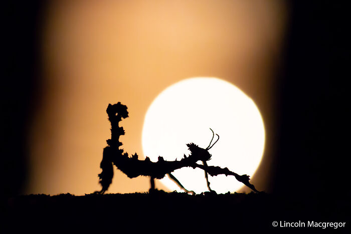 70 Breathtaking Photos Shortlisted For Australian Geographic Nature Photographer Of The Year