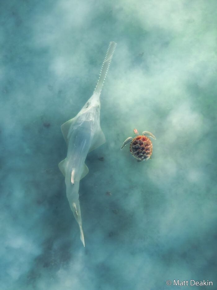 70 Breathtaking Photos Shortlisted For Australian Geographic Nature Photographer Of The Year