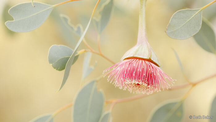 70 Breathtaking Photos Shortlisted For Australian Geographic Nature Photographer Of The Year