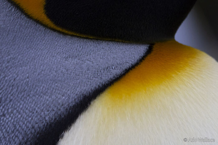 70 Breathtaking Photos Shortlisted For Australian Geographic Nature Photographer Of The Year