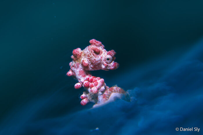 70 Breathtaking Photos Shortlisted For Australian Geographic Nature Photographer Of The Year