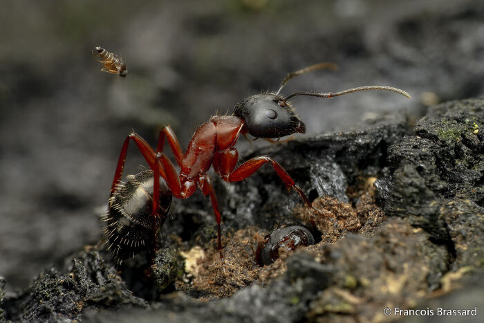 70 Breathtaking Photos Shortlisted For Australian Geographic Nature Photographer Of The Year