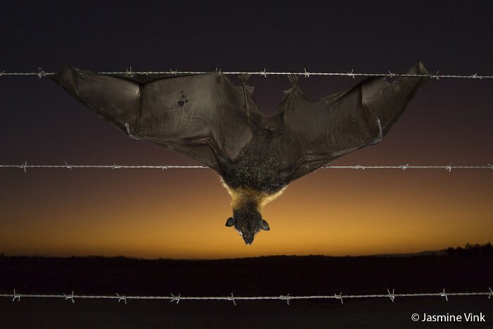 70 Breathtaking Photos Shortlisted For Australian Geographic Nature Photographer Of The Year