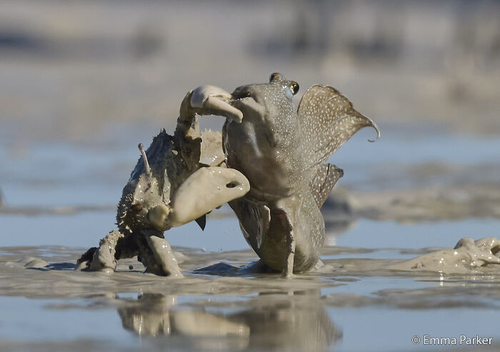 70 Breathtaking Photos Shortlisted For Australian Geographic Nature Photographer Of The Year