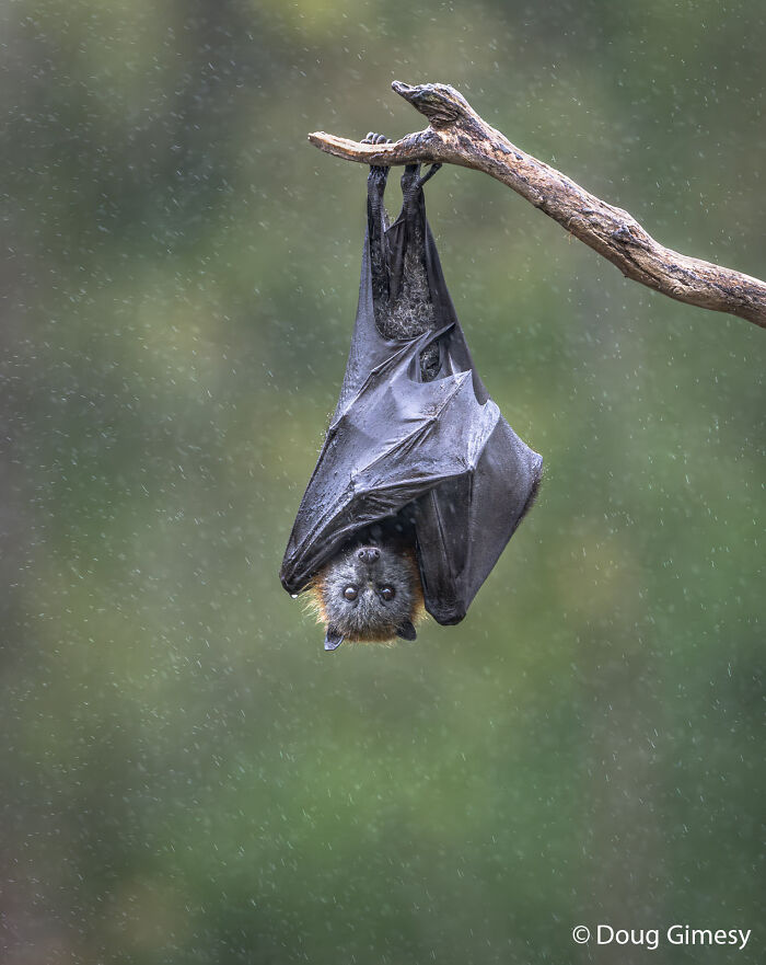 70 Breathtaking Photos Shortlisted For Australian Geographic Nature Photographer Of The Year