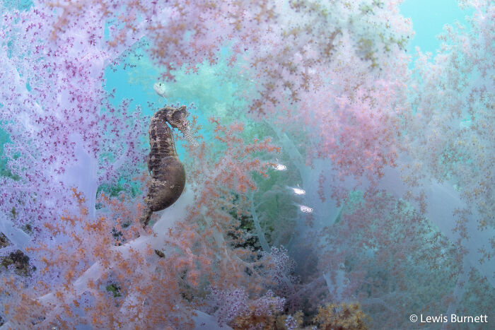 70 Breathtaking Photos Shortlisted For Australian Geographic Nature Photographer Of The Year