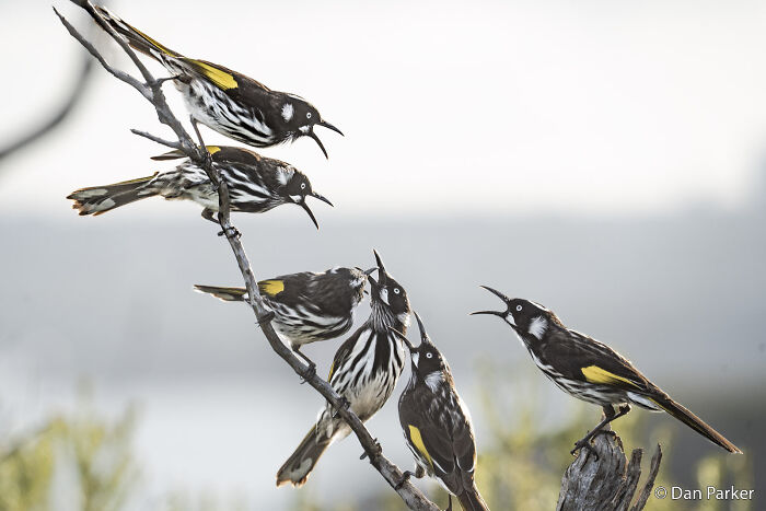70 Breathtaking Photos Shortlisted For Australian Geographic Nature Photographer Of The Year