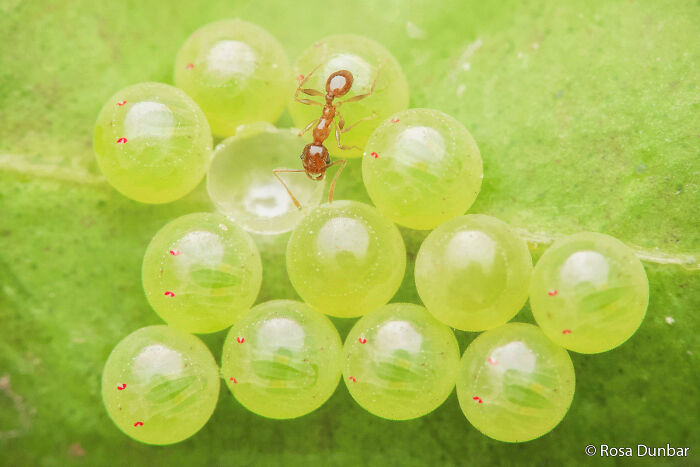 70 Breathtaking Photos Shortlisted For Australian Geographic Nature Photographer Of The Year