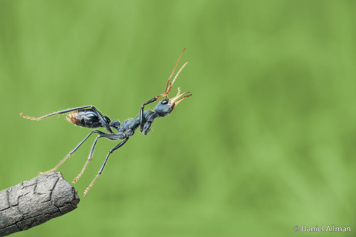 70 Breathtaking Photos Shortlisted For Australian Geographic Nature Photographer Of The Year