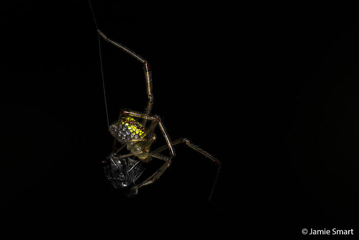70 Breathtaking Photos Shortlisted For Australian Geographic Nature Photographer Of The Year