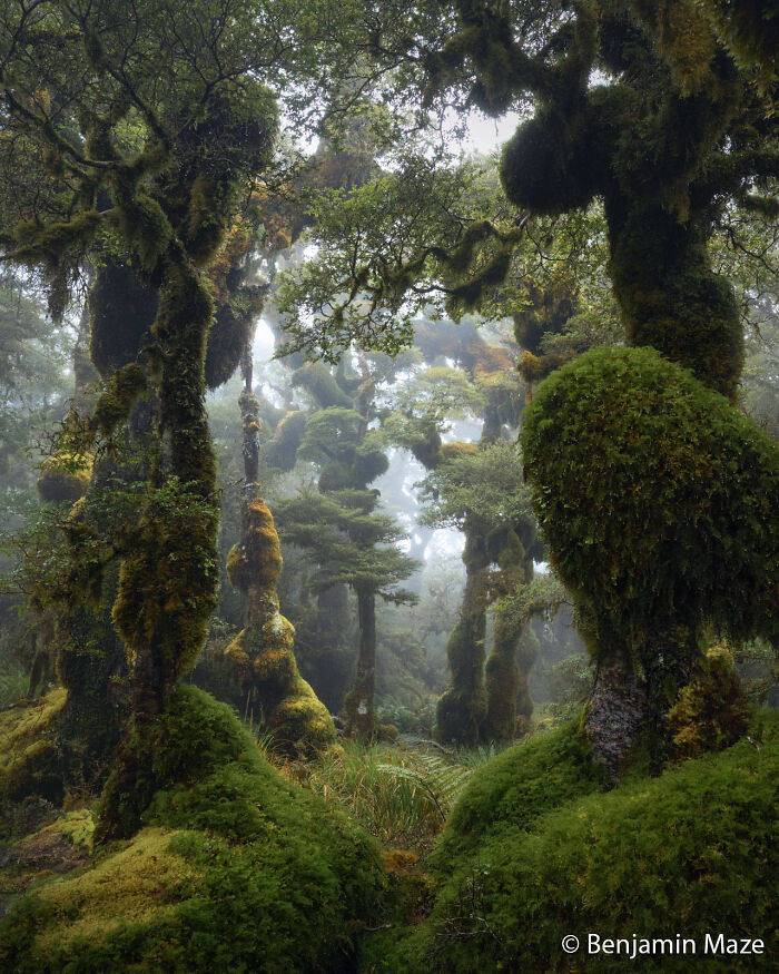 70 Breathtaking Photos Shortlisted For Australian Geographic Nature Photographer Of The Year