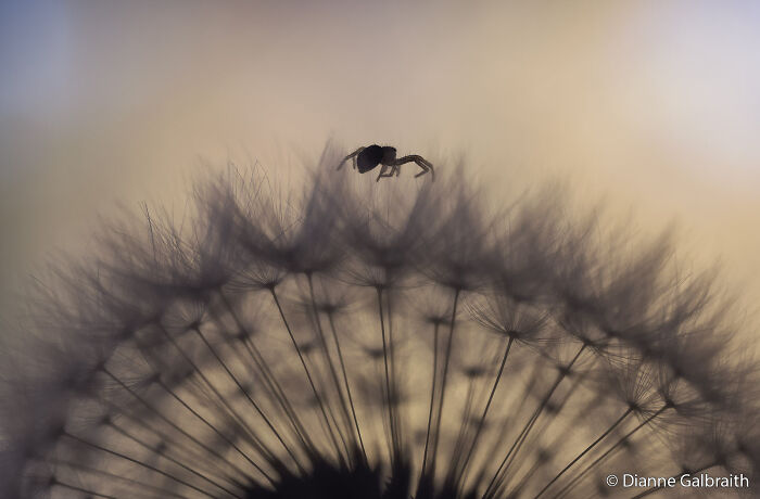 70 Breathtaking Photos Shortlisted For Australian Geographic Nature Photographer Of The Year