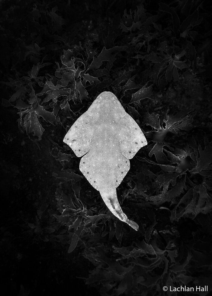 70 Breathtaking Photos Shortlisted For Australian Geographic Nature Photographer Of The Year