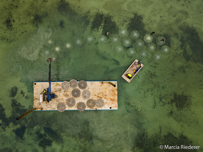 70 Breathtaking Photos Shortlisted For Australian Geographic Nature Photographer Of The Year