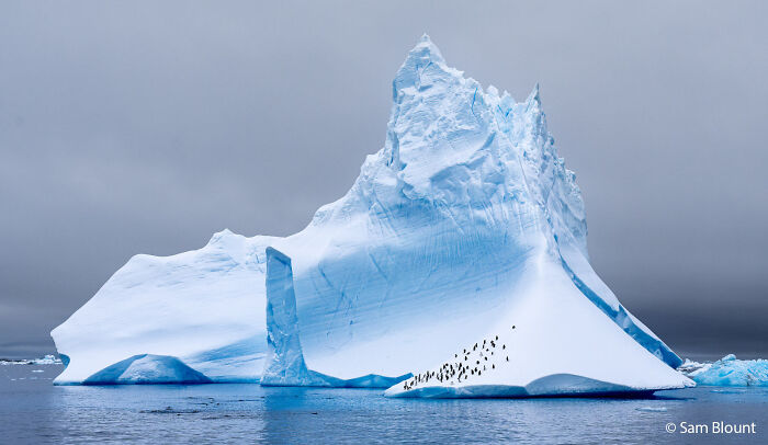 70 Breathtaking Photos Shortlisted For Australian Geographic Nature Photographer Of The Year