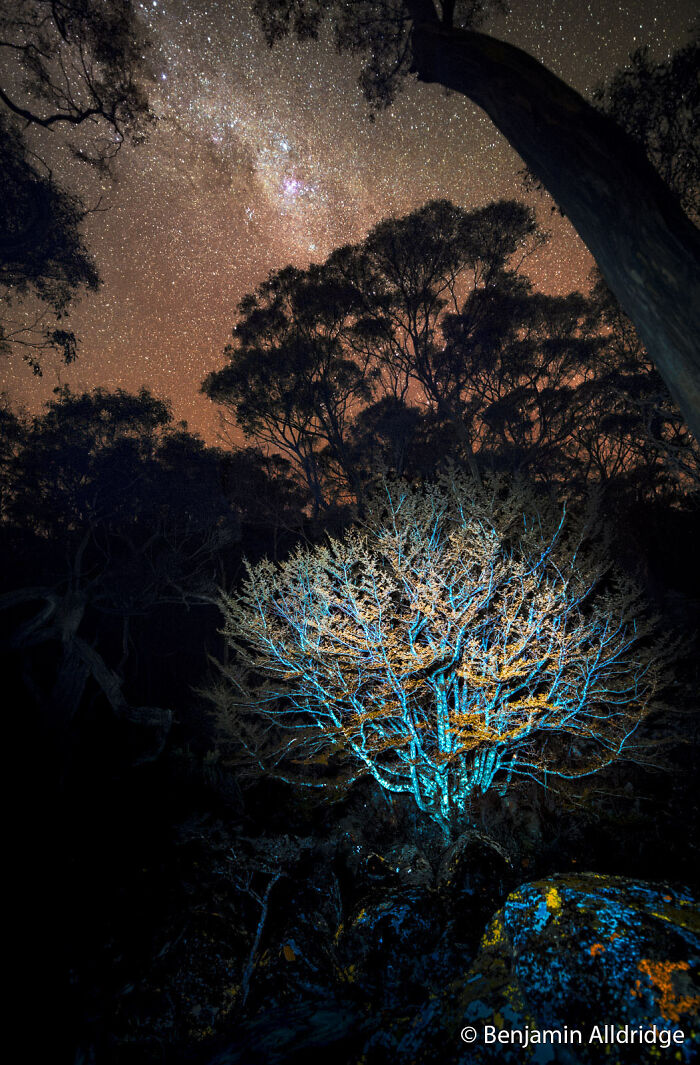 70 Breathtaking Photos Shortlisted For Australian Geographic Nature Photographer Of The Year