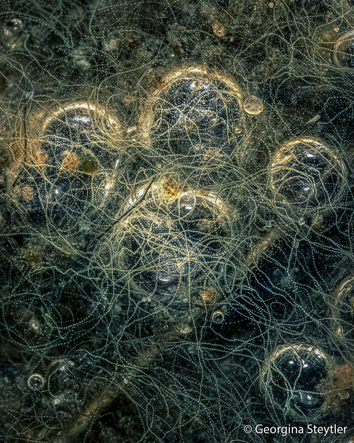 70 Breathtaking Photos Shortlisted For Australian Geographic Nature Photographer Of The Year