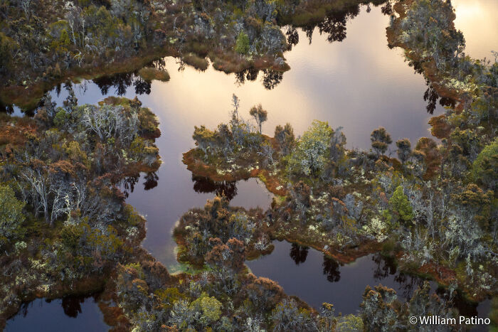 70 Breathtaking Photos Shortlisted For Australian Geographic Nature Photographer Of The Year